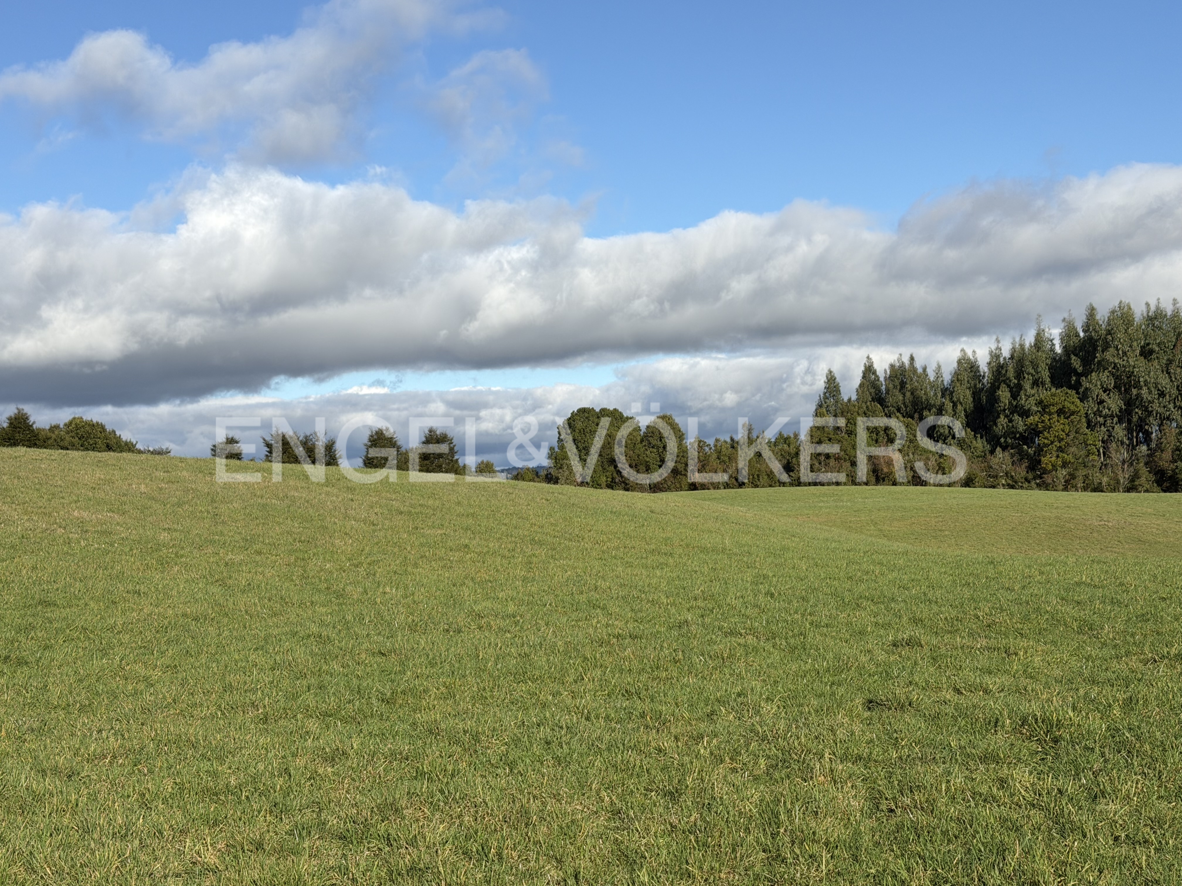 Campo de 26,87 ha en Frutillar
