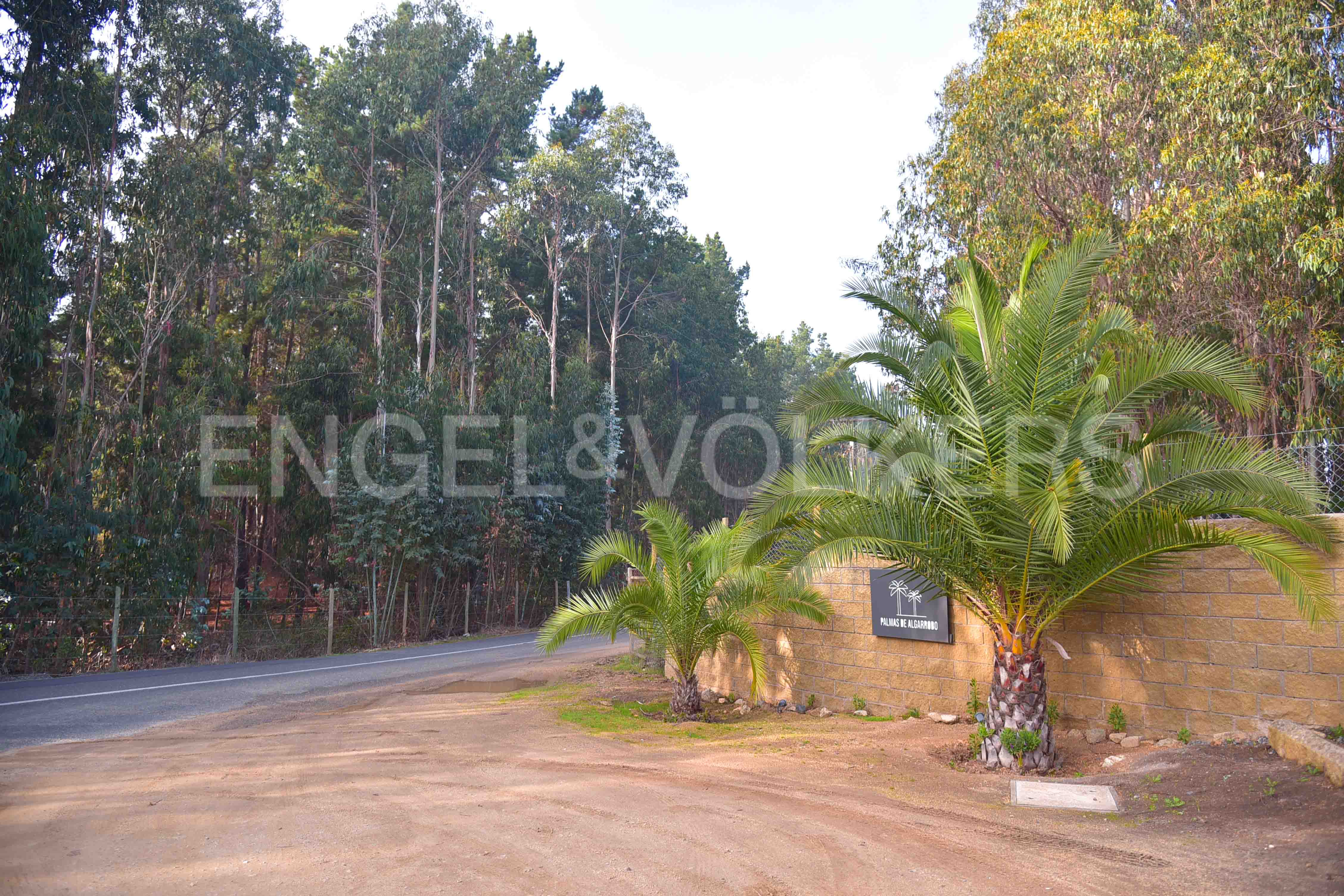 Parcela en San Jose de Algarrobo