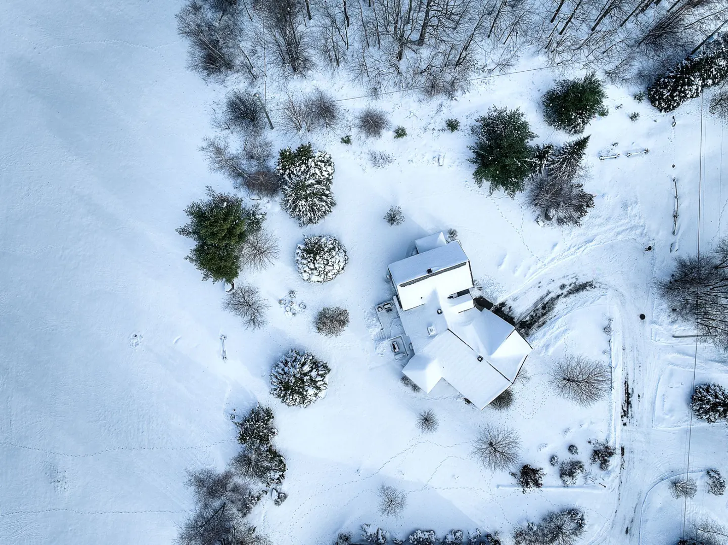 Aerial view of a snow-covered house and yard, with trees and animal tracks visible.