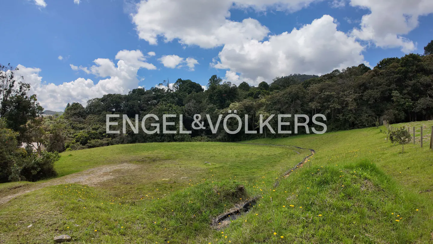 Green hillside with Engel & Völkers logo, trees, and blue sky with white clouds.