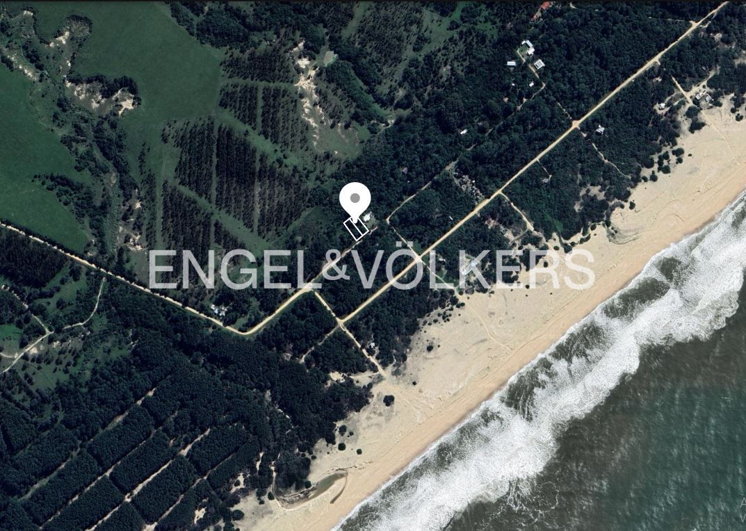 Plots in the heart of the forest