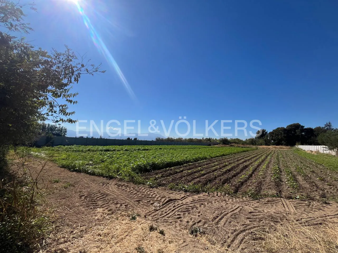 Farmland view under a clear blue sky, with rows of crops and tire tracks in the foreground. Engel & Völkers logo visible in the background.