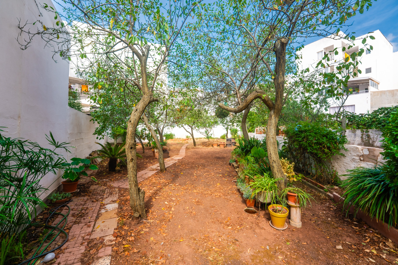 Townhouse with a large garden and exceptional potential in Ferreries, Menorca