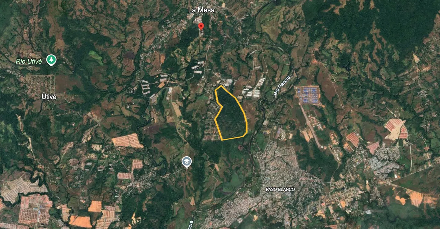 Aerial view of a green, hilly landscape with a yellow outline around a wooded area near Paso Blanco.