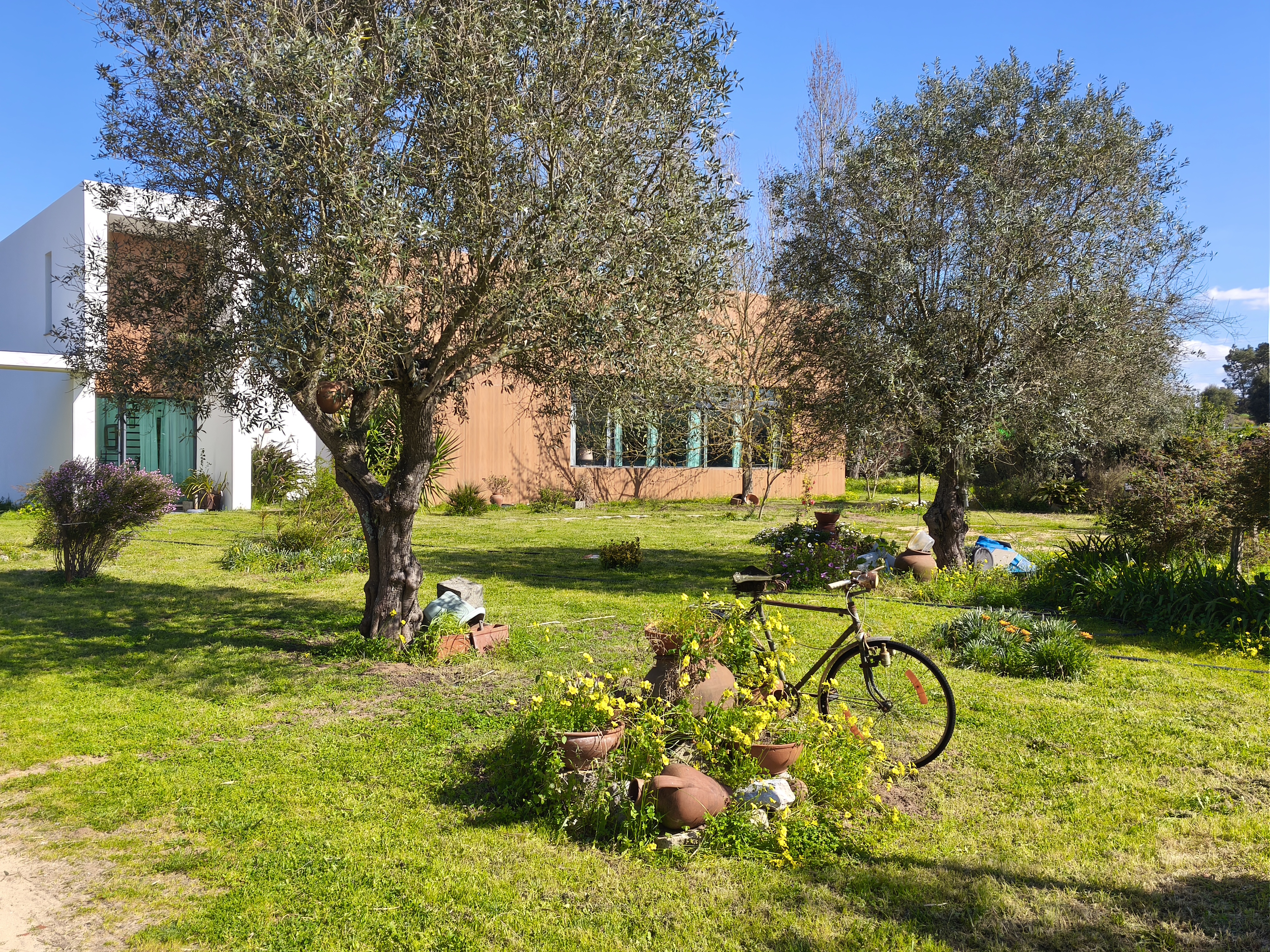 Mini Ranch with Modern Villa and Unique Natural Setting
