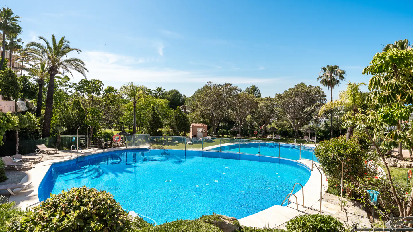 A bright blue swimming pool surrounded by lush green trees and plants under a clear blue sky.