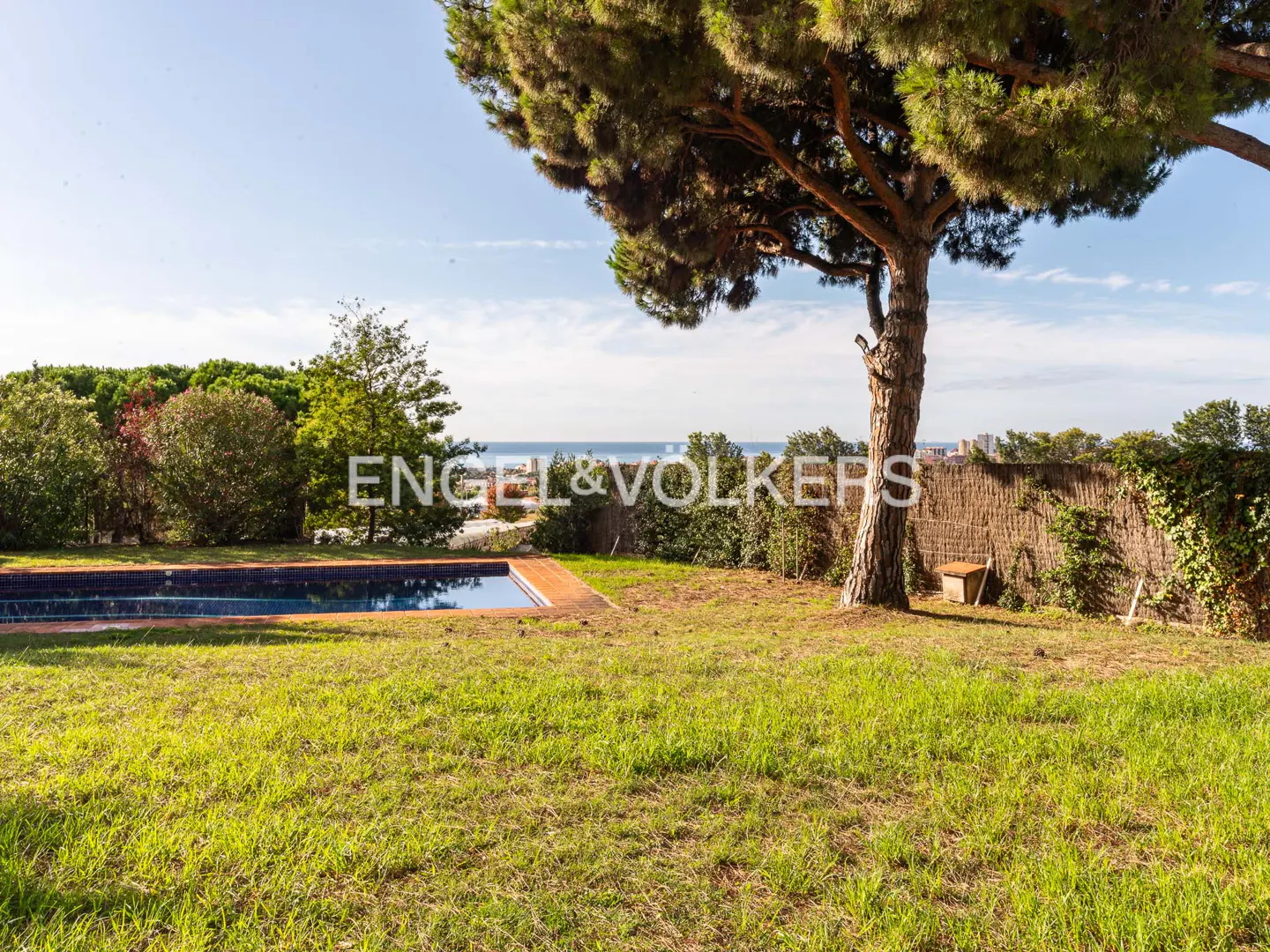 Lawn with pool, tree, and ocean view. The pool is surrounded by wood. The lawn is green. The sky is blue.