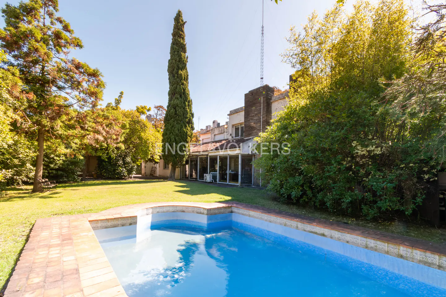 A backyard with a blue swimming pool, green grass, trees, and a house in the background on a sunny day.