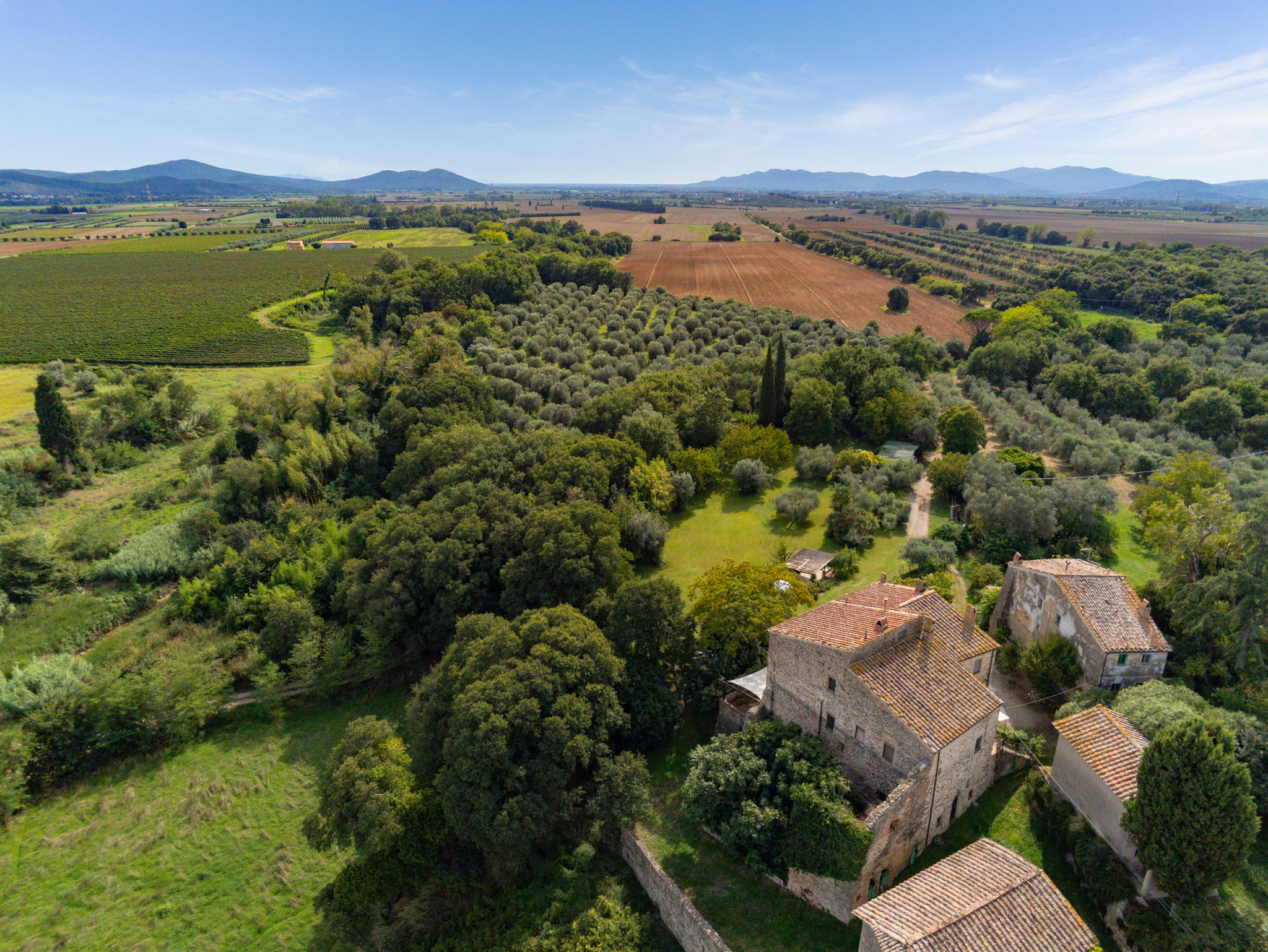 House in Borgo Lattaia - former historic castle with botanical garden and olive grove