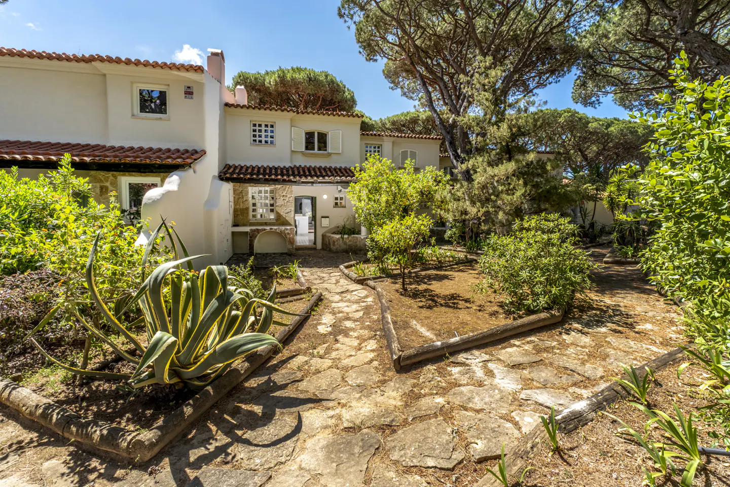 White villa with terracotta roof, stone path, and lush garden featuring a large agave plant under tall pine trees.