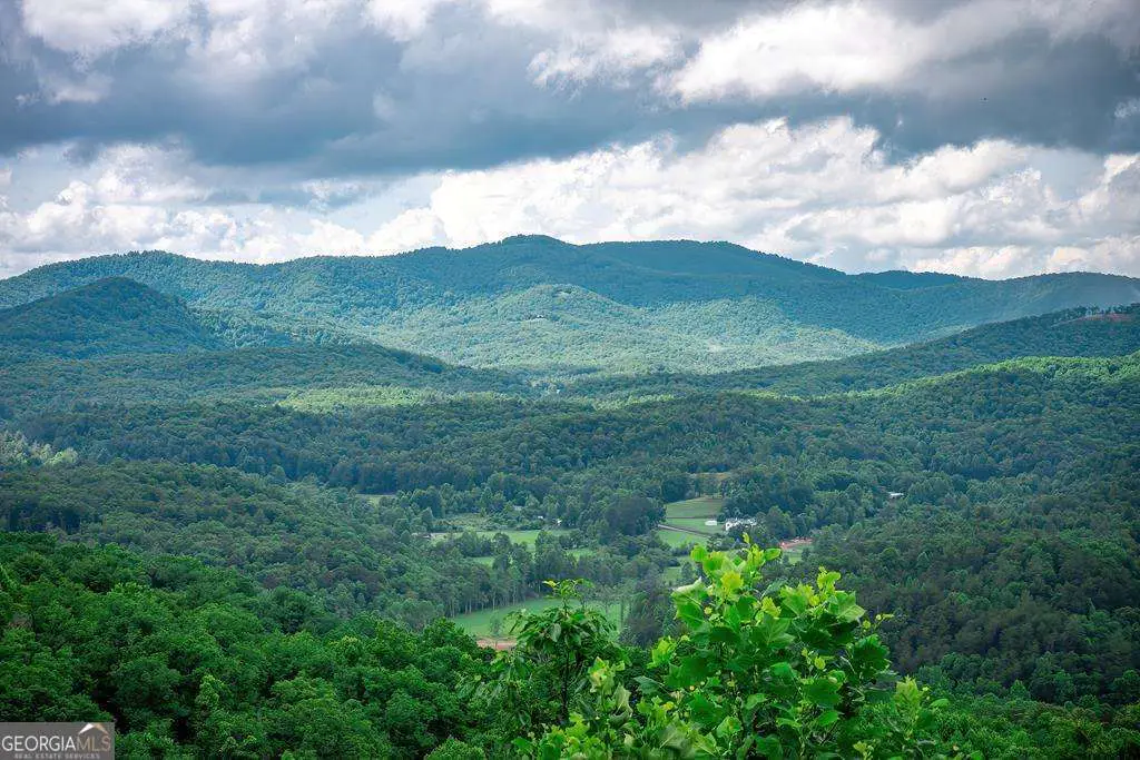 Panoramic view of lush green mountains and a valley under a cloudy sky, with trees in the foreground.