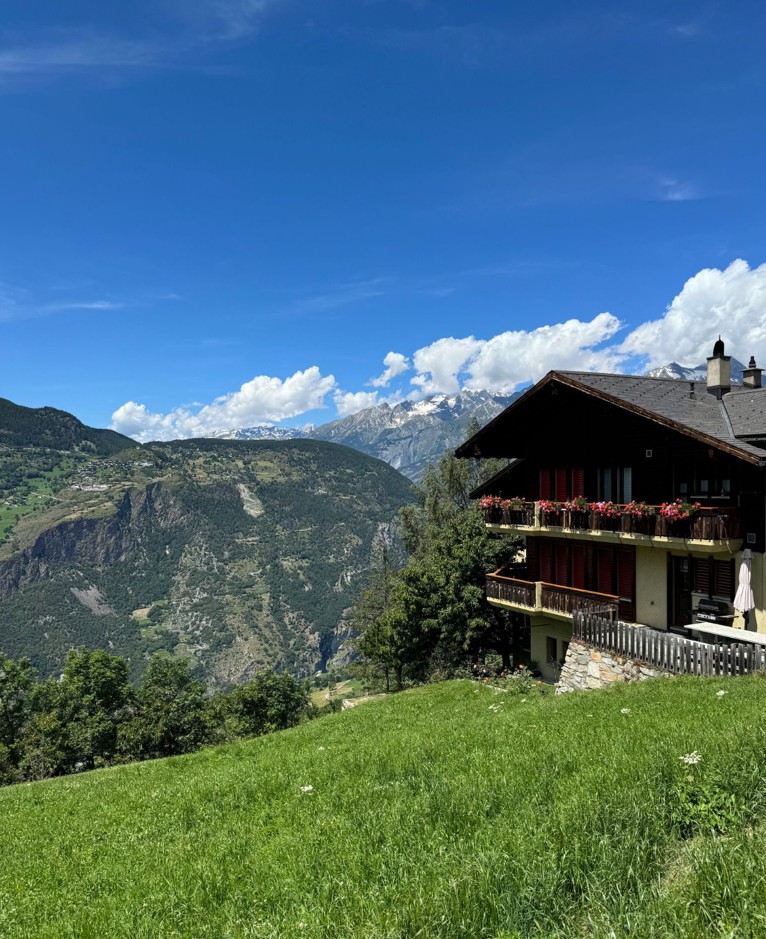 4.5-room rental apartment with mountain panorama