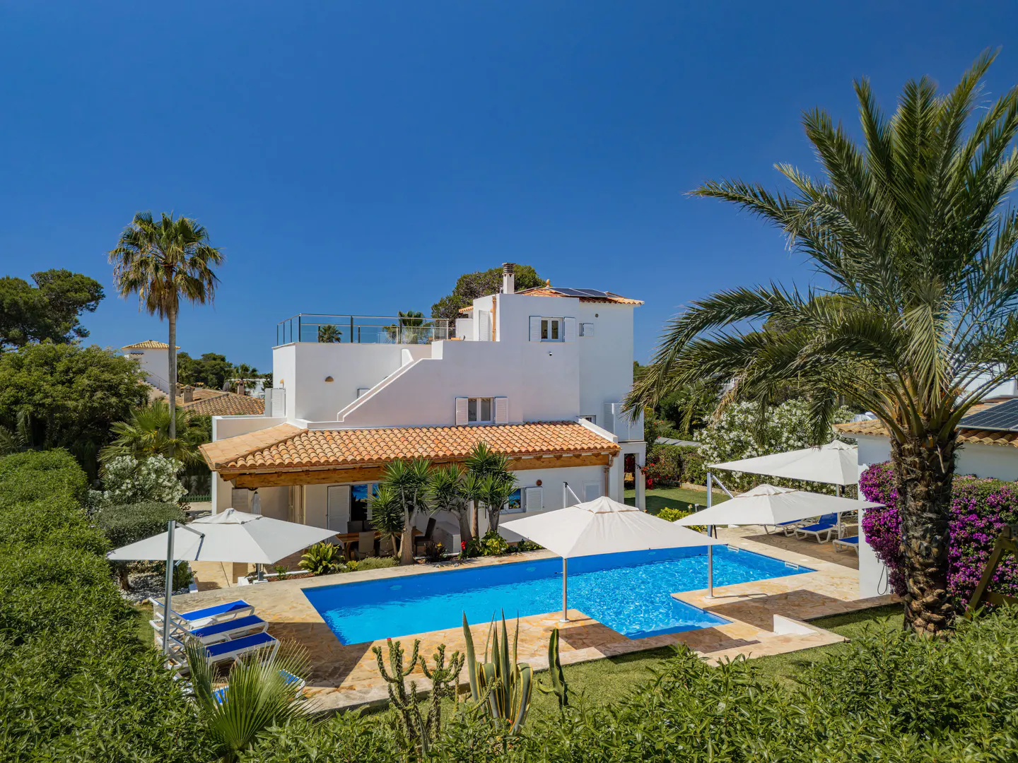White villa with a terracotta roof, blue swimming pool, white umbrellas, and palm trees under a clear blue sky.