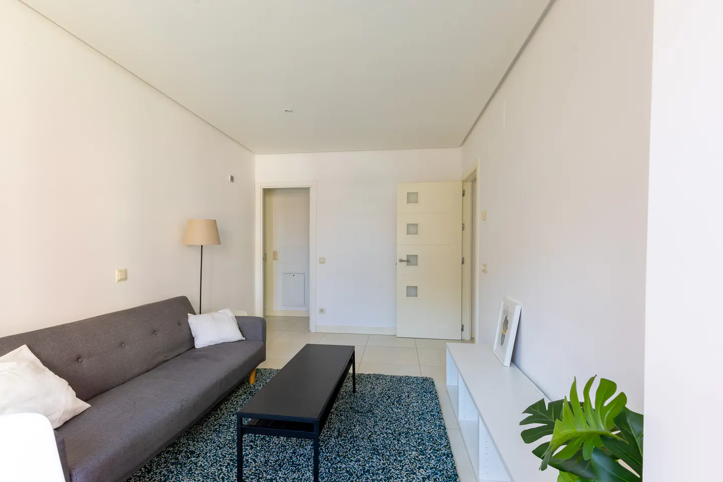 Living room with gray sofa, black coffee table, and blue rug. White walls, door, and console table. A plant adds a touch of green.
