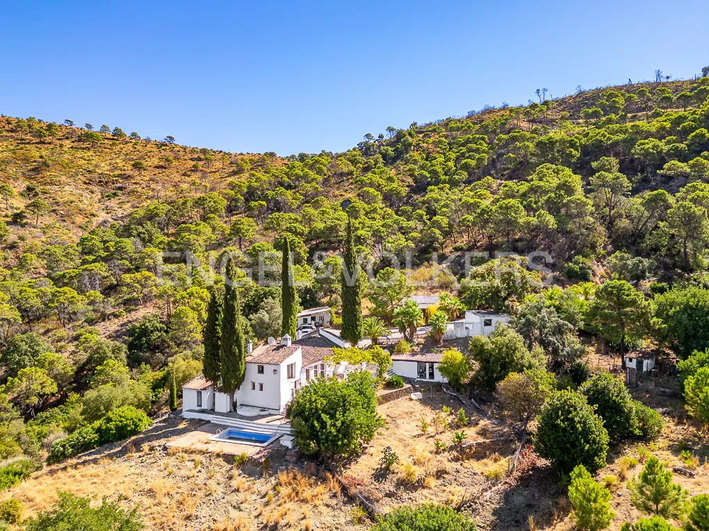 Aerial view of a white house with a blue pool, surrounded by green trees on a hillside under a clear blue sky.