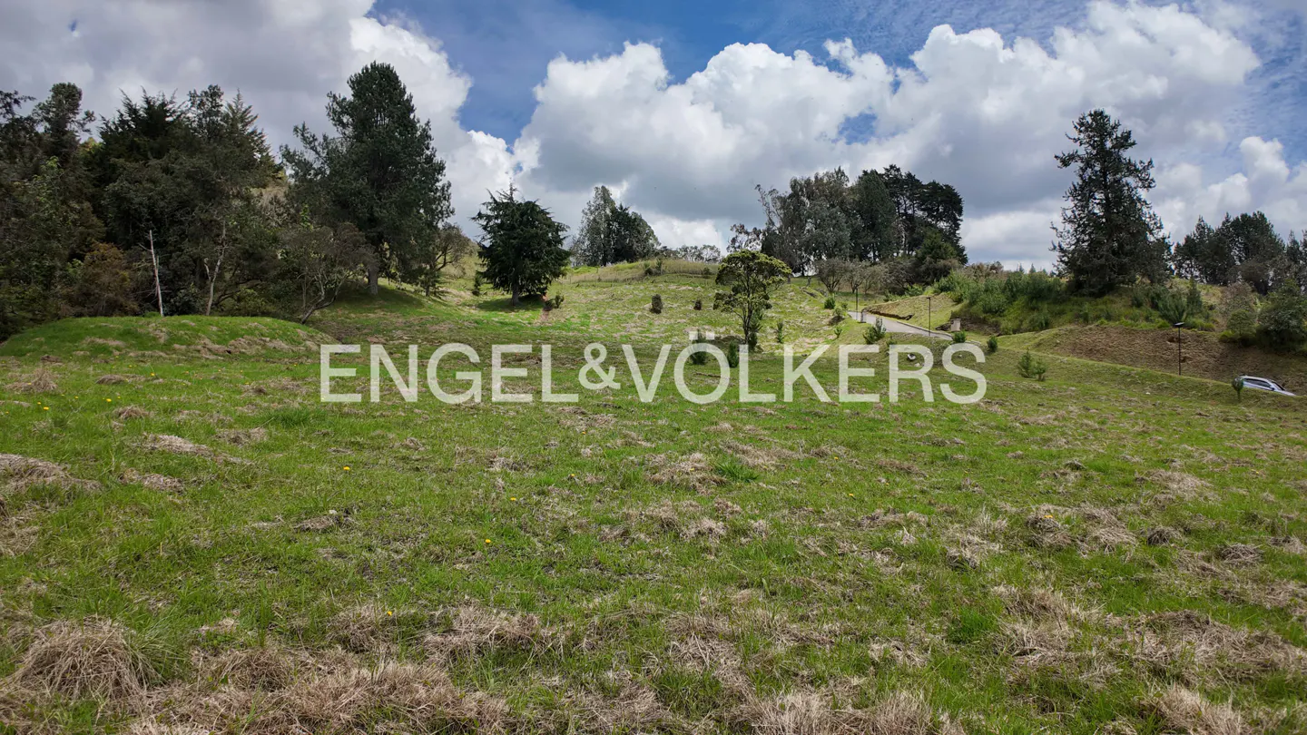 A grassy hillside with trees under a cloudy sky. The Engel & Volkers logo is superimposed on the image.
