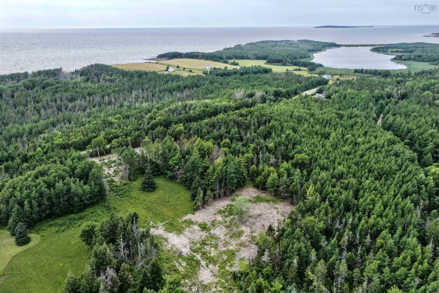 Aerial view of a vast green forest landscape bordering a calm ocean, with a small lake and open fields in the distance.