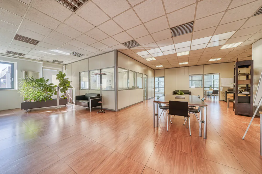 Bright office space with wood-look tile, a conference table, and a black leather couch. Potted plants sit near a window.