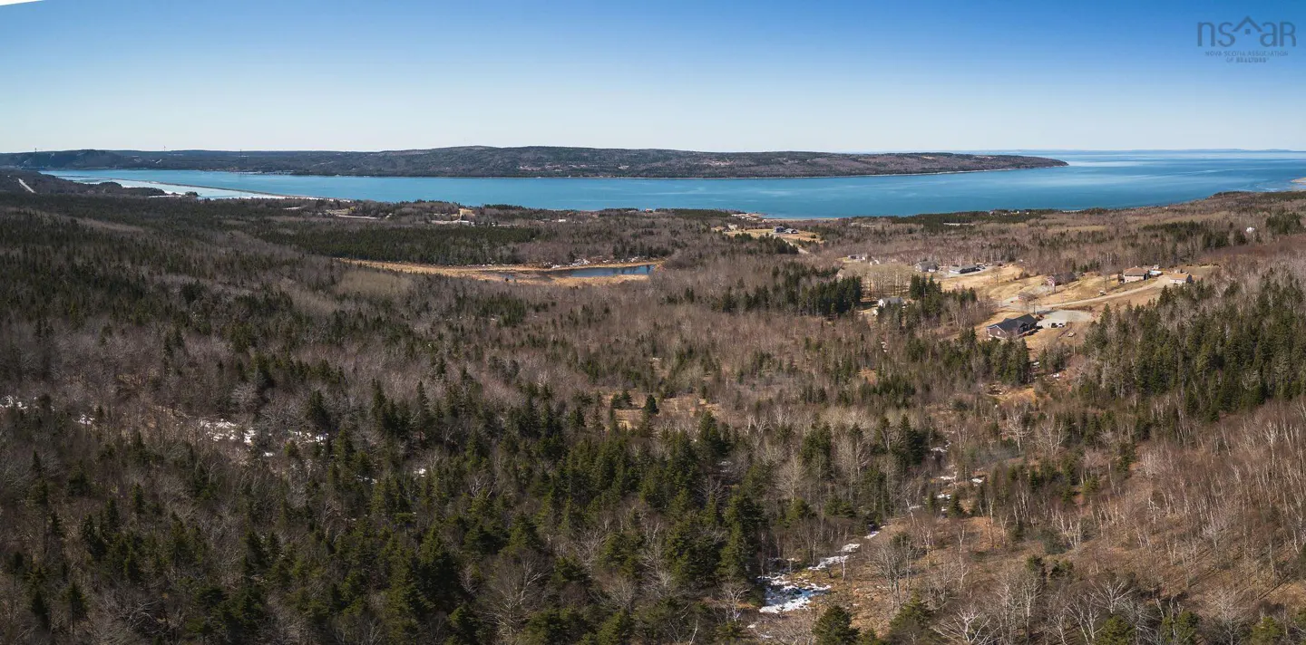 Aerial view of a wooded landscape with a blue bay in the background under a clear blue sky.