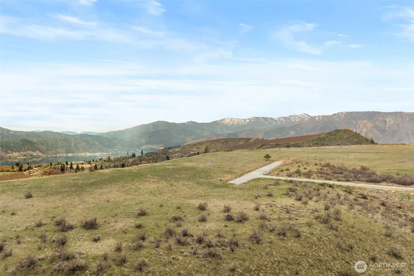 Scenic view of a grassy field with mountains in the background under a blue sky with light clouds. A dirt road cuts through the field.