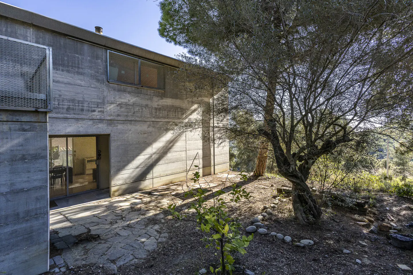 Exterior view of a modern concrete house with a tree in the yard. A sliding glass door leads to the interior.