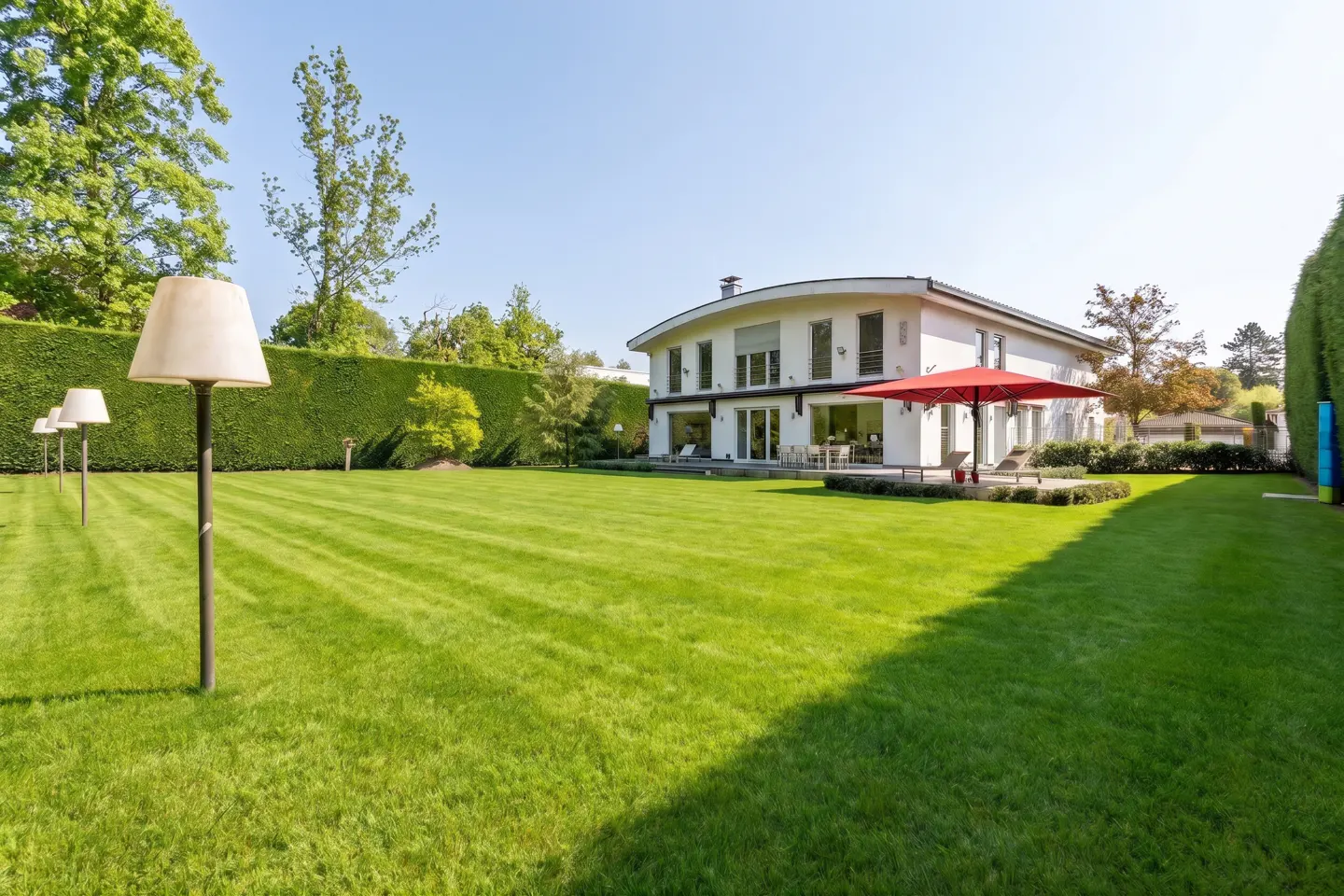 [AI-generated photo]