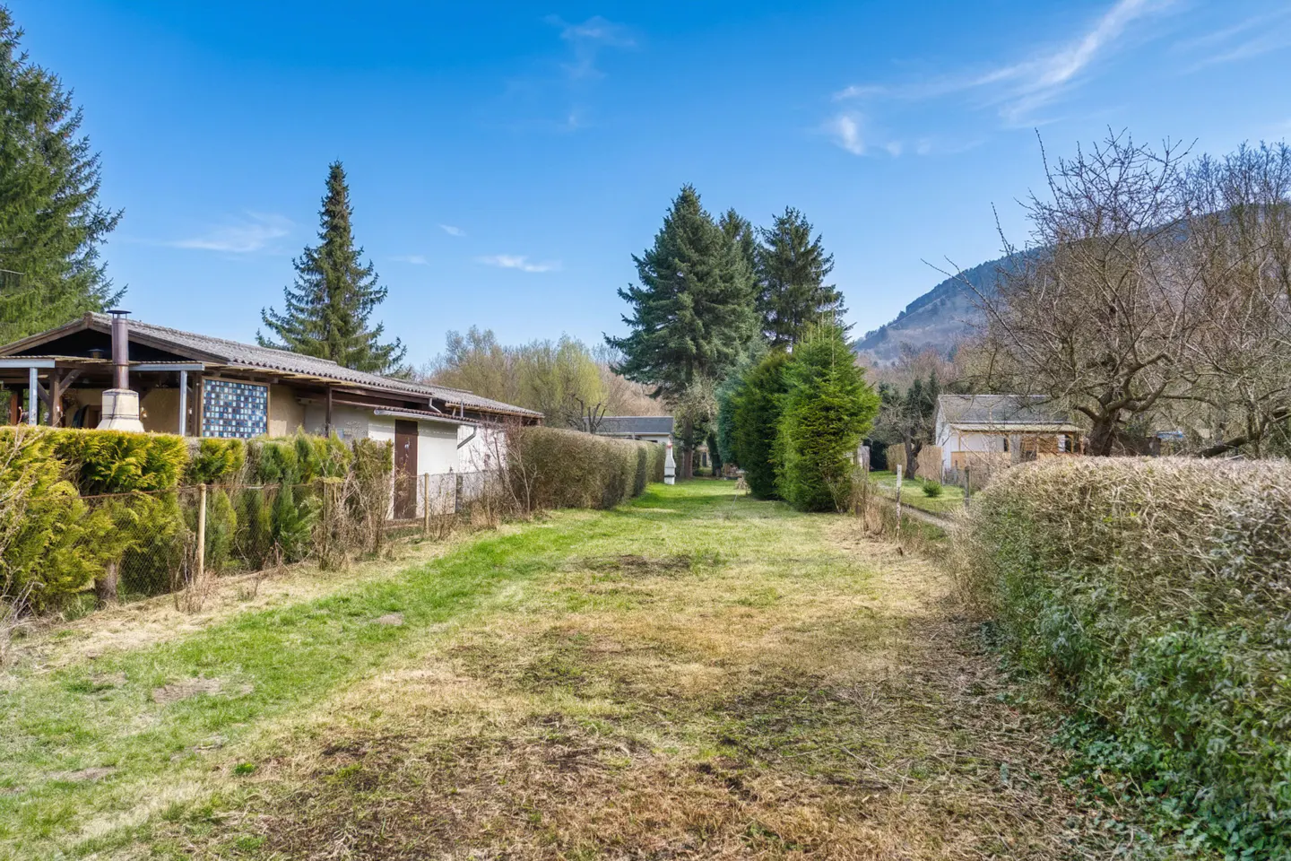 View of a grassy yard between two houses, bordered by hedges, under a blue sky.