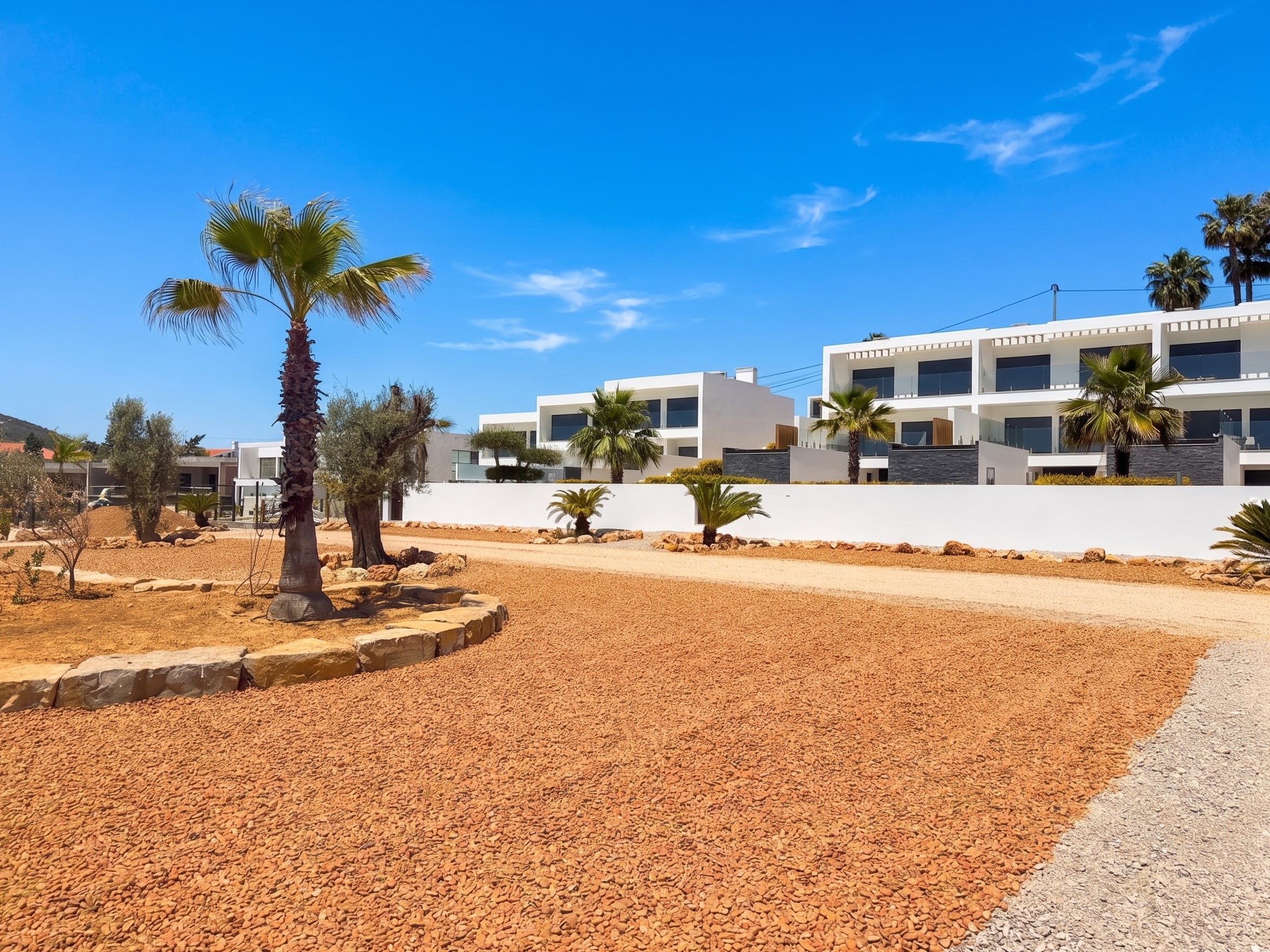 Modern white villas with palm trees and gravel driveway under a clear blue sky.