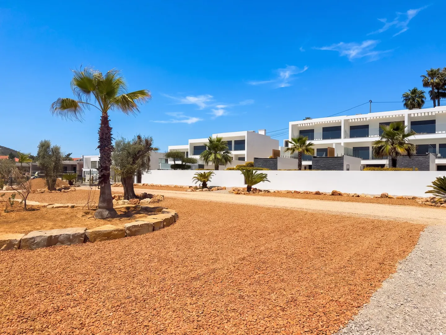Modern white villas with palm trees and gravel driveway under a clear blue sky.