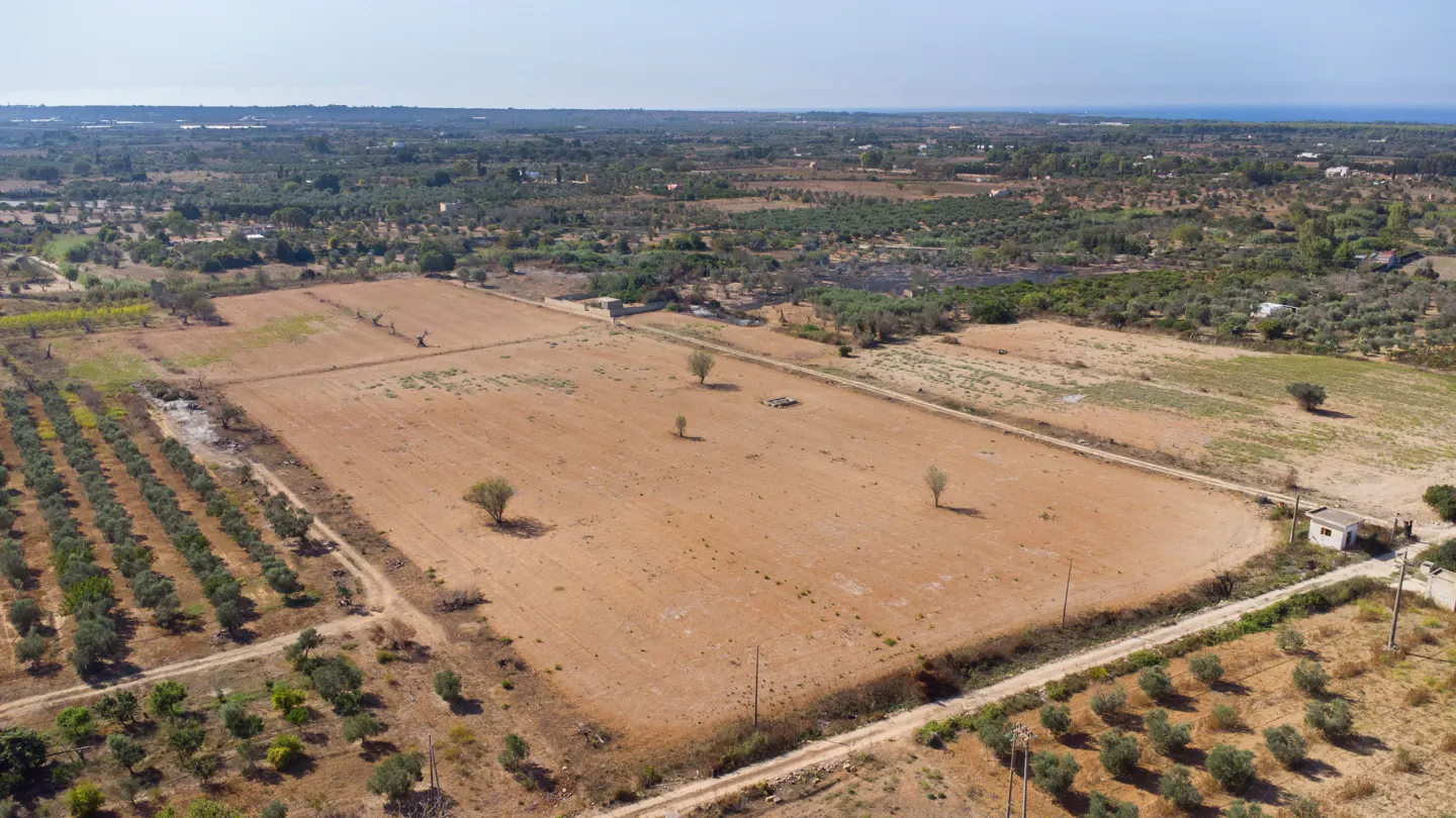 Aerial view of a rural landscape with brown fields, scattered trees, and a small white building.