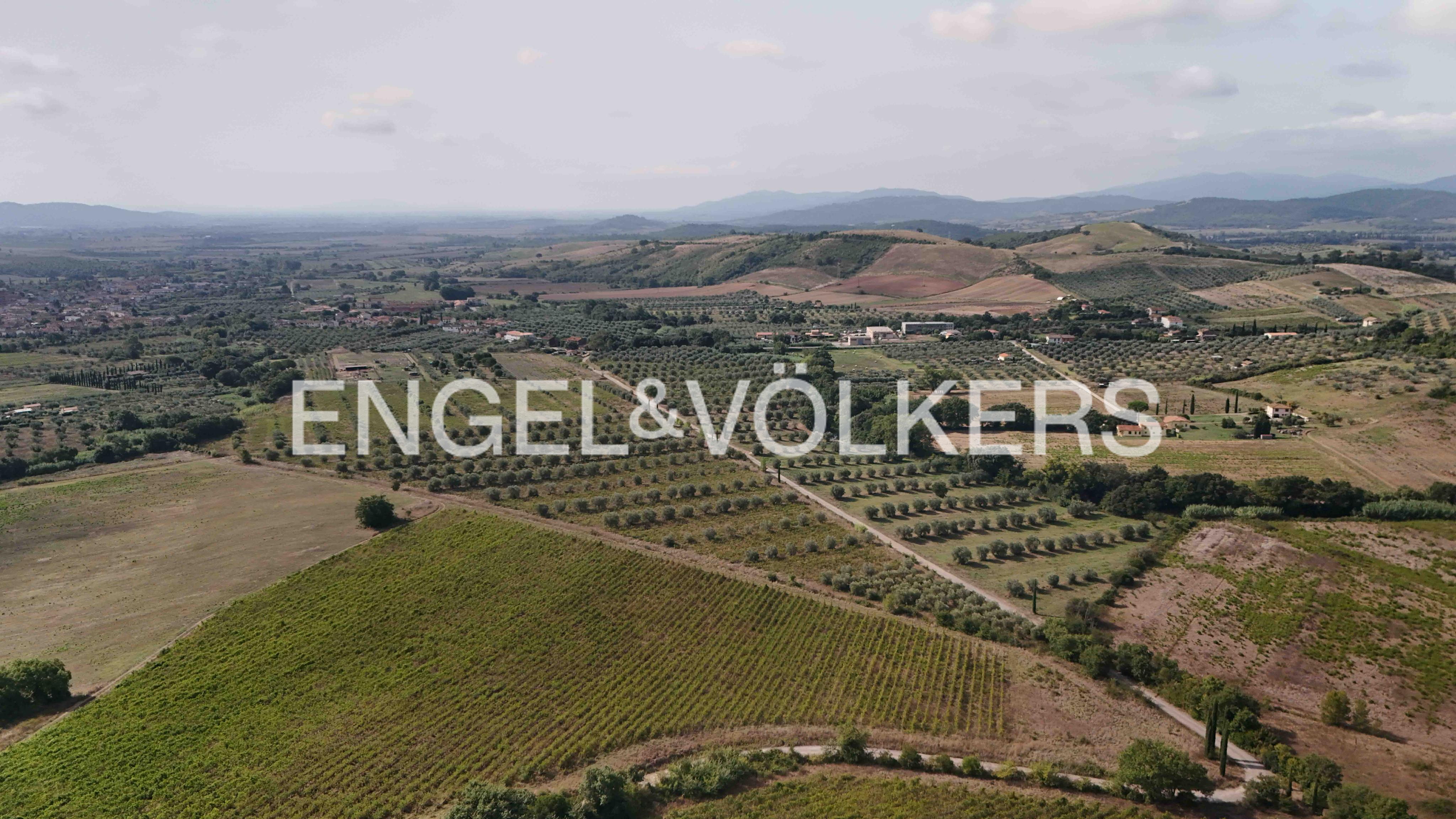 DOC vineyard of 13 ha with arable land; possibility to also purchase farmhouses for residential use and agritourism; Ribolla area