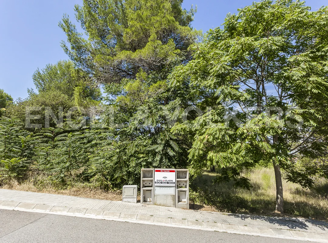 Great plot in Can Miralles