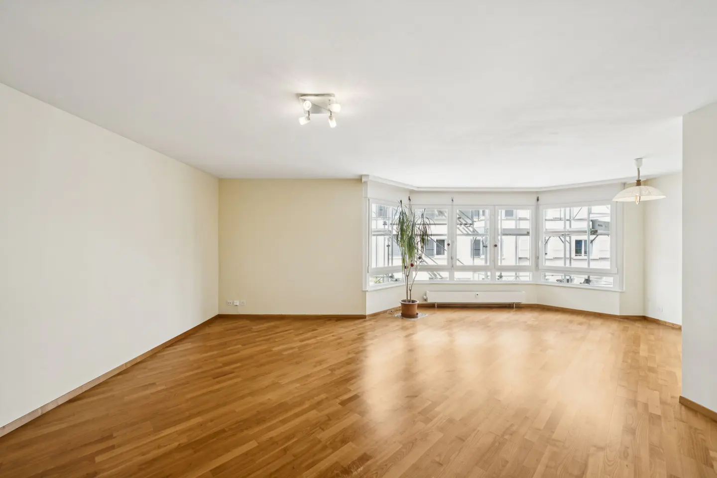 Empty living room with hardwood floors, cream walls, and a large bay window. A potted plant sits in front of the window.