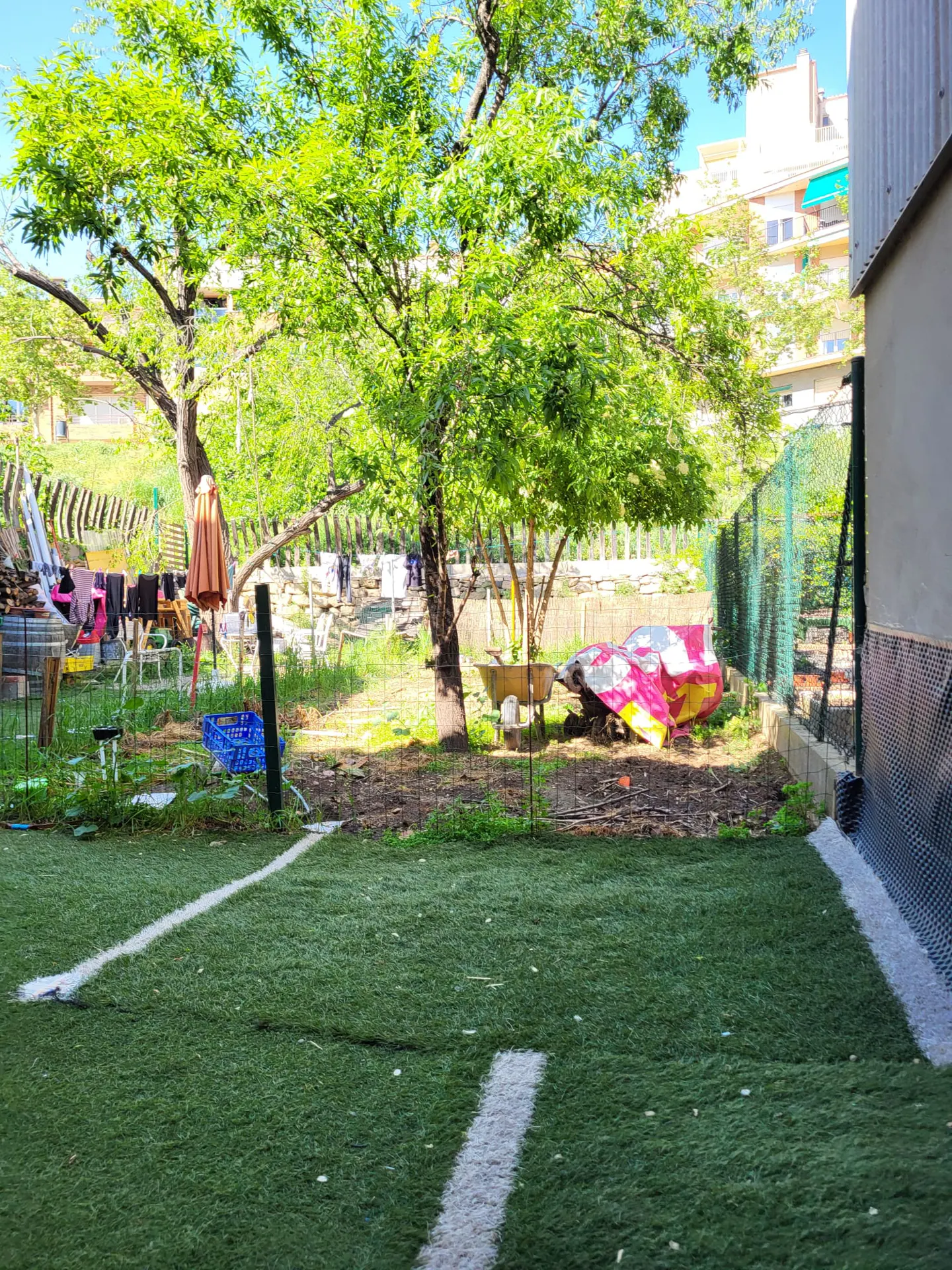 Backyard with green artificial turf, white lines, trees, and a fence. Laundry hangs in the background.