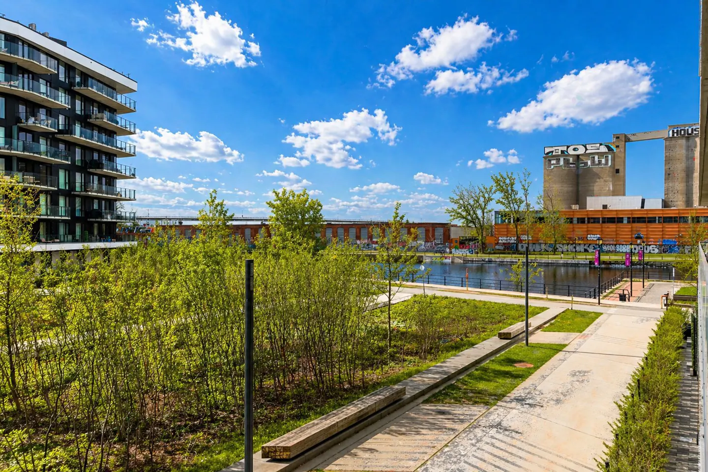 Condo view of a park with a pond, trees, and a building with graffiti in the background under a blue sky with white clouds.
