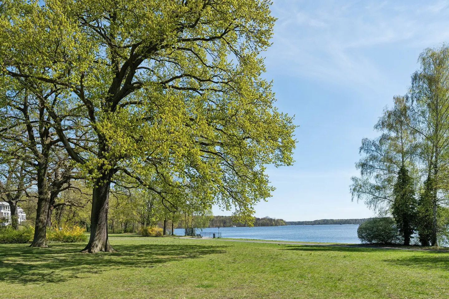 Lush green lawn with large trees leading to a blue lake under a clear sky.
