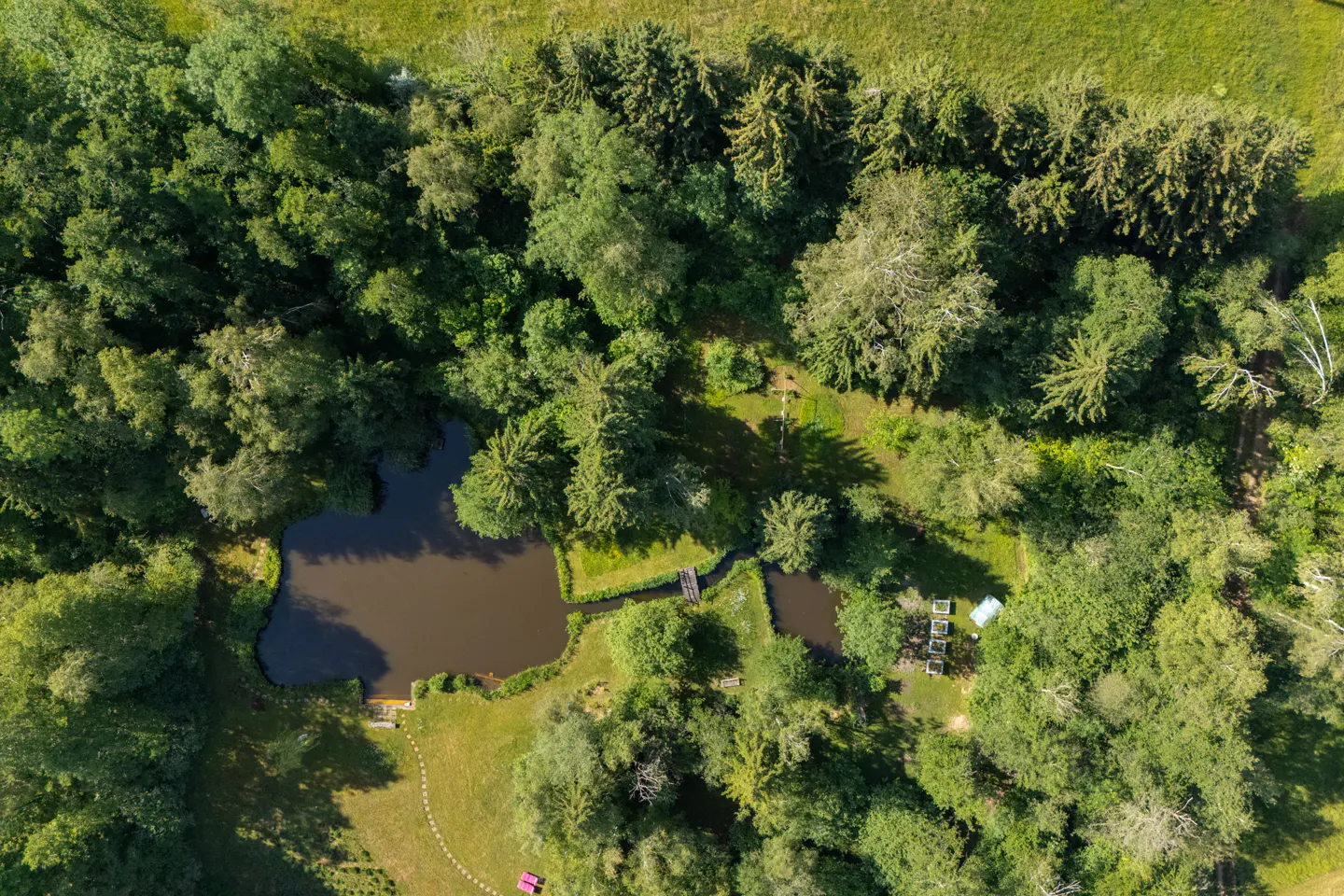 Aerial view of two dark ponds nestled in a lush green forest with a small wooden bridge and garden beds.