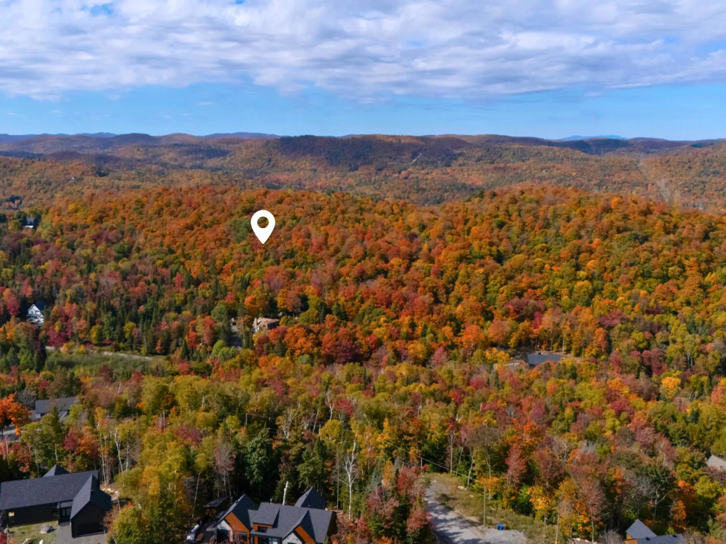 Aerial view of fall foliage with a location pin over a forest, houses visible below.