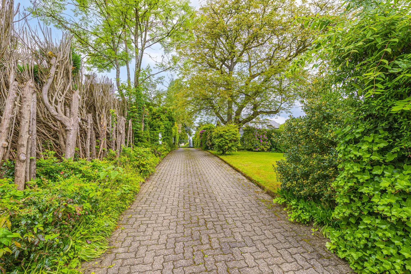 A long, gray brick driveway leads to a house, lined with green trees and bushes. A unique wooden fence is on the left.