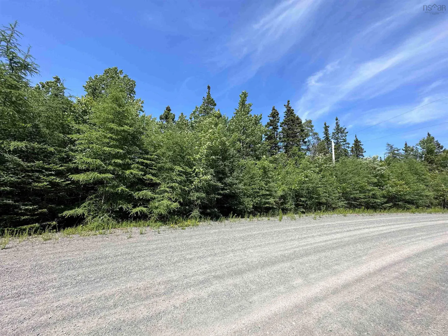 A gravel road borders a dense line of green coniferous and deciduous trees under a bright blue sky with wispy clouds.