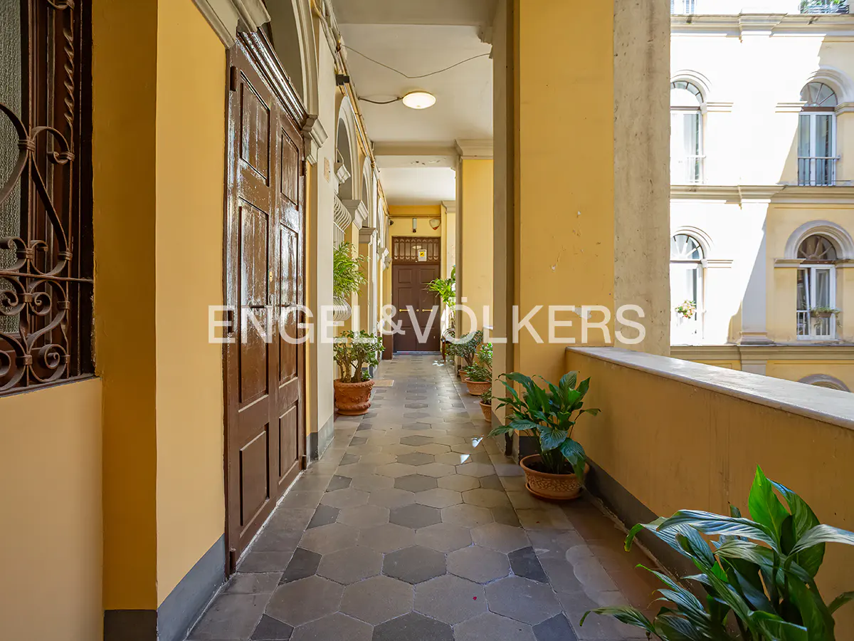 A long, yellow hallway with brown doors and potted plants. The floor is tiled in a gray hexagon pattern. Windows are visible on the right.