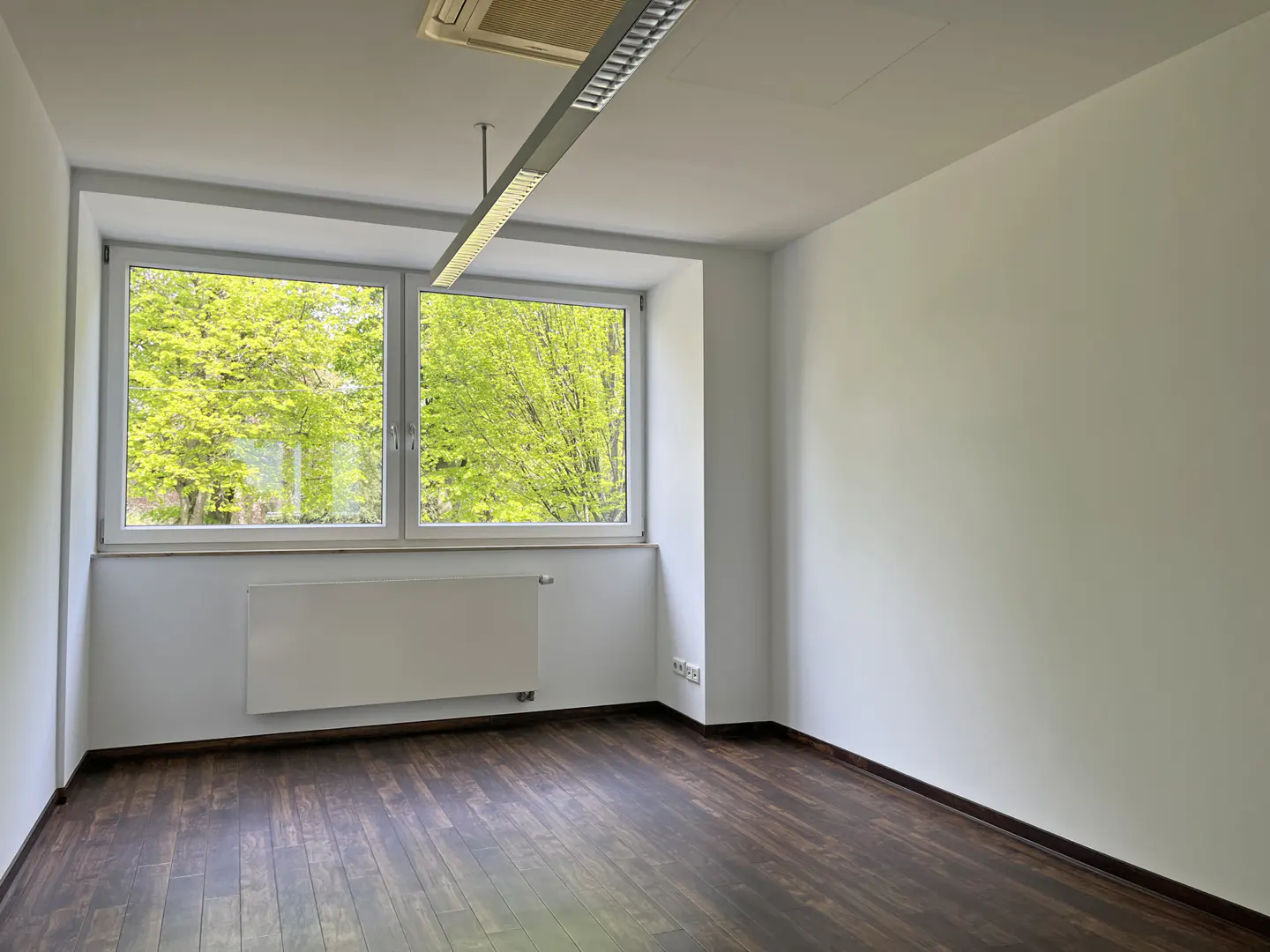 Empty room with dark wood floors, white walls, and a large window showing green trees. A white radiator is under the window.