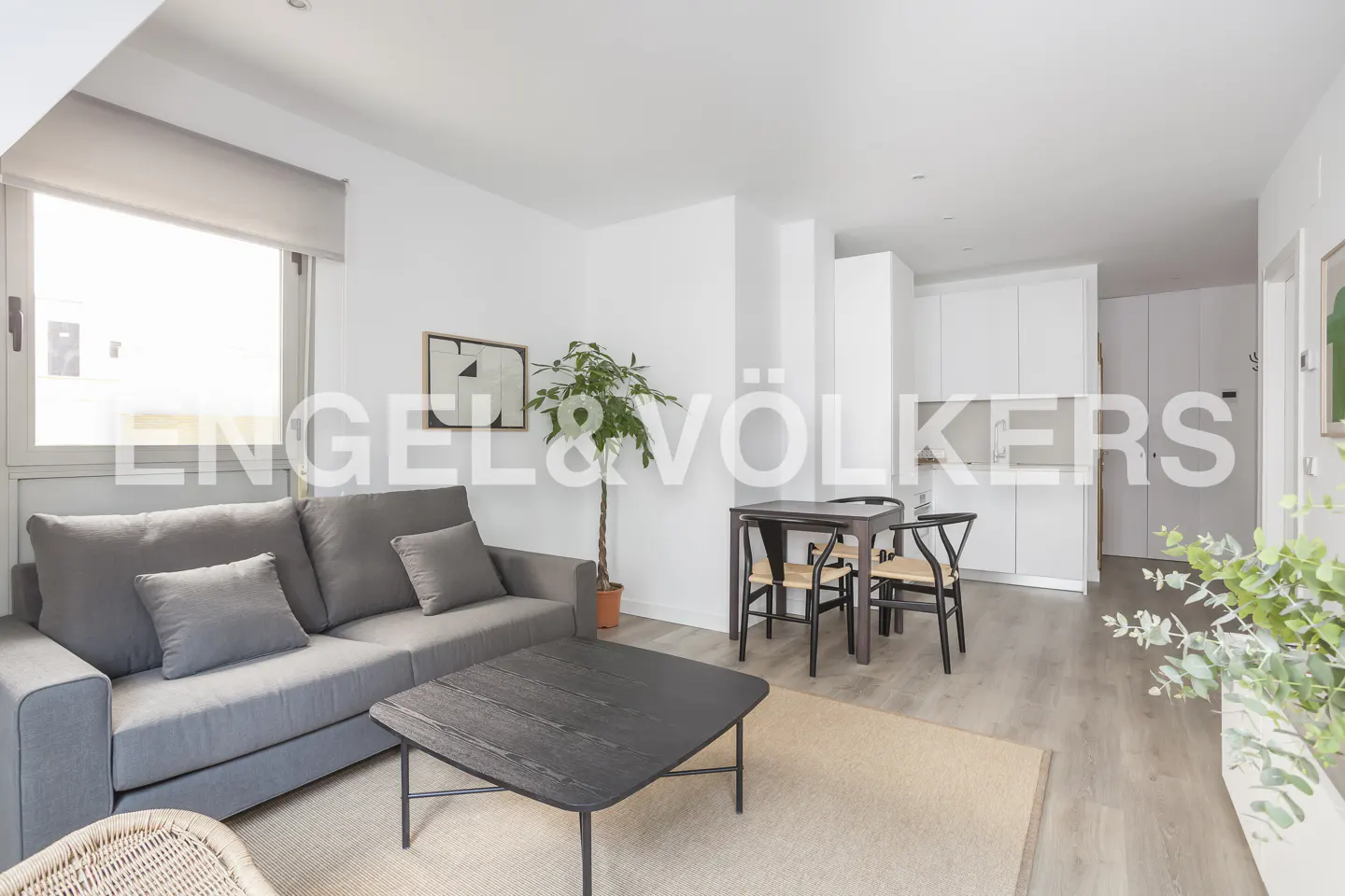 Bright, modern apartment interior with a gray sofa, black coffee table, dining set, and white kitchen cabinets. A potted plant adds a touch of nature.