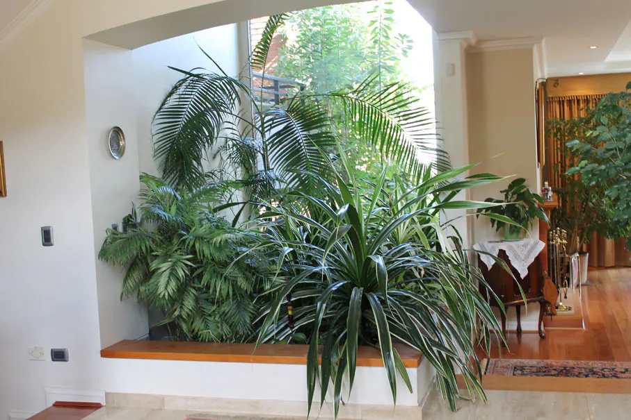Indoor garden with various green plants in a bright, modern home. A glimpse of a wood floor and furniture is visible in the background.