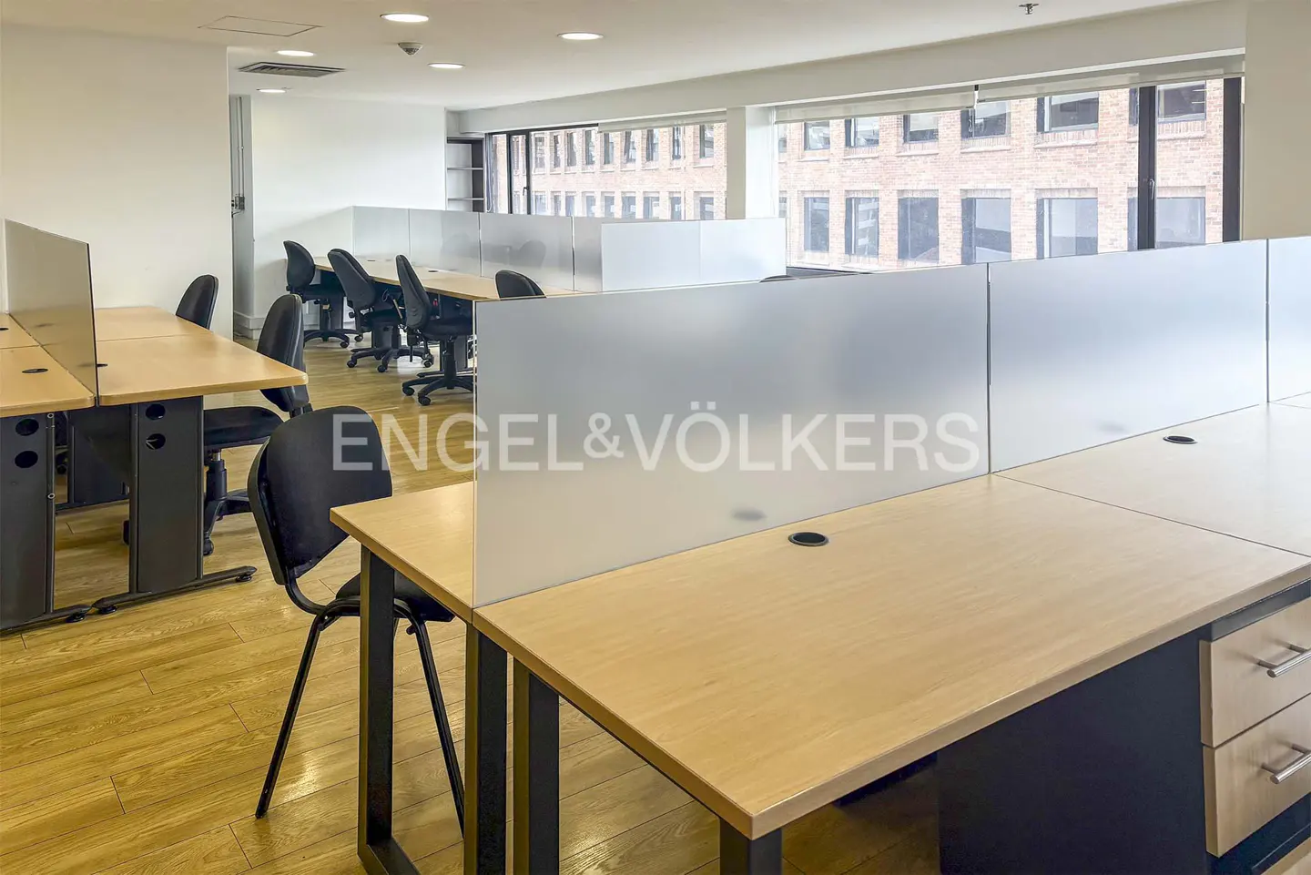 Modern office space with rows of light wood desks, black chairs, and frosted glass privacy partitions on a wooden floor.