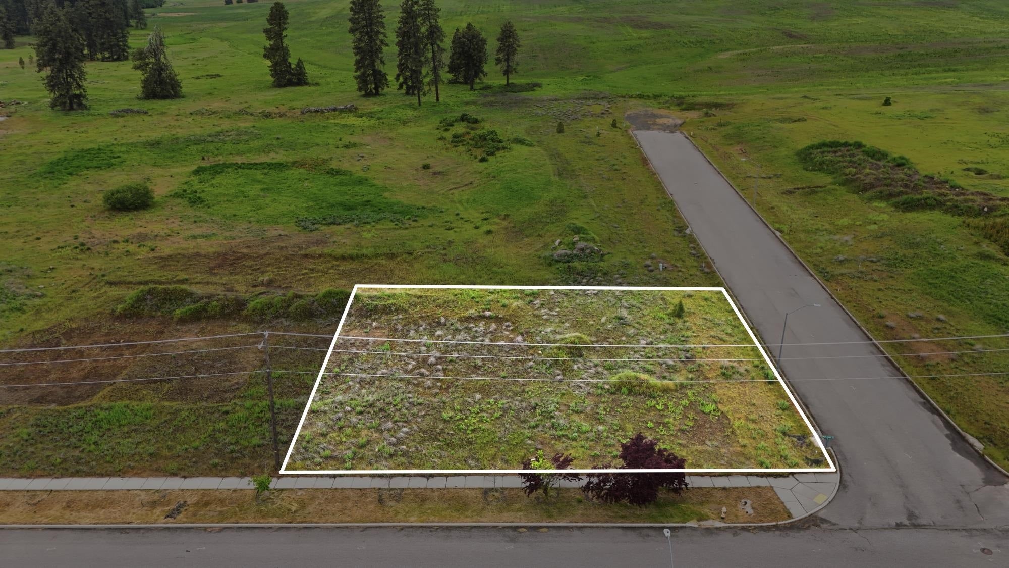 Exceptional Commercial Opportunity