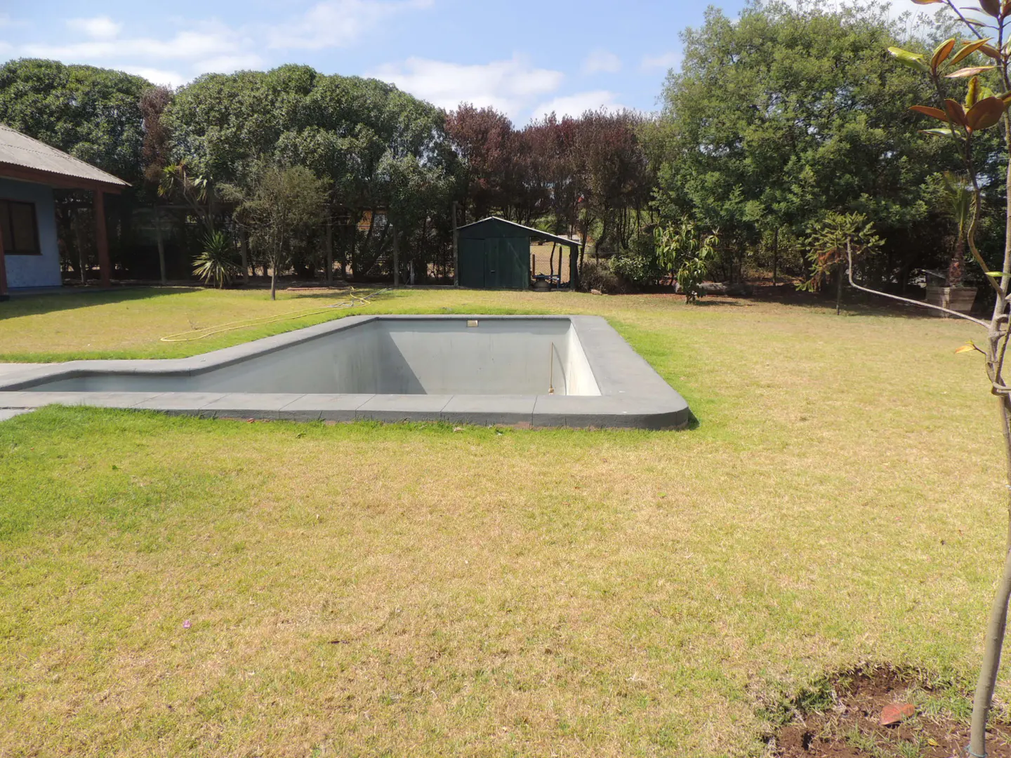 A rectangular, empty, gray swimming pool sits in a grassy yard with trees and a shed in the background.