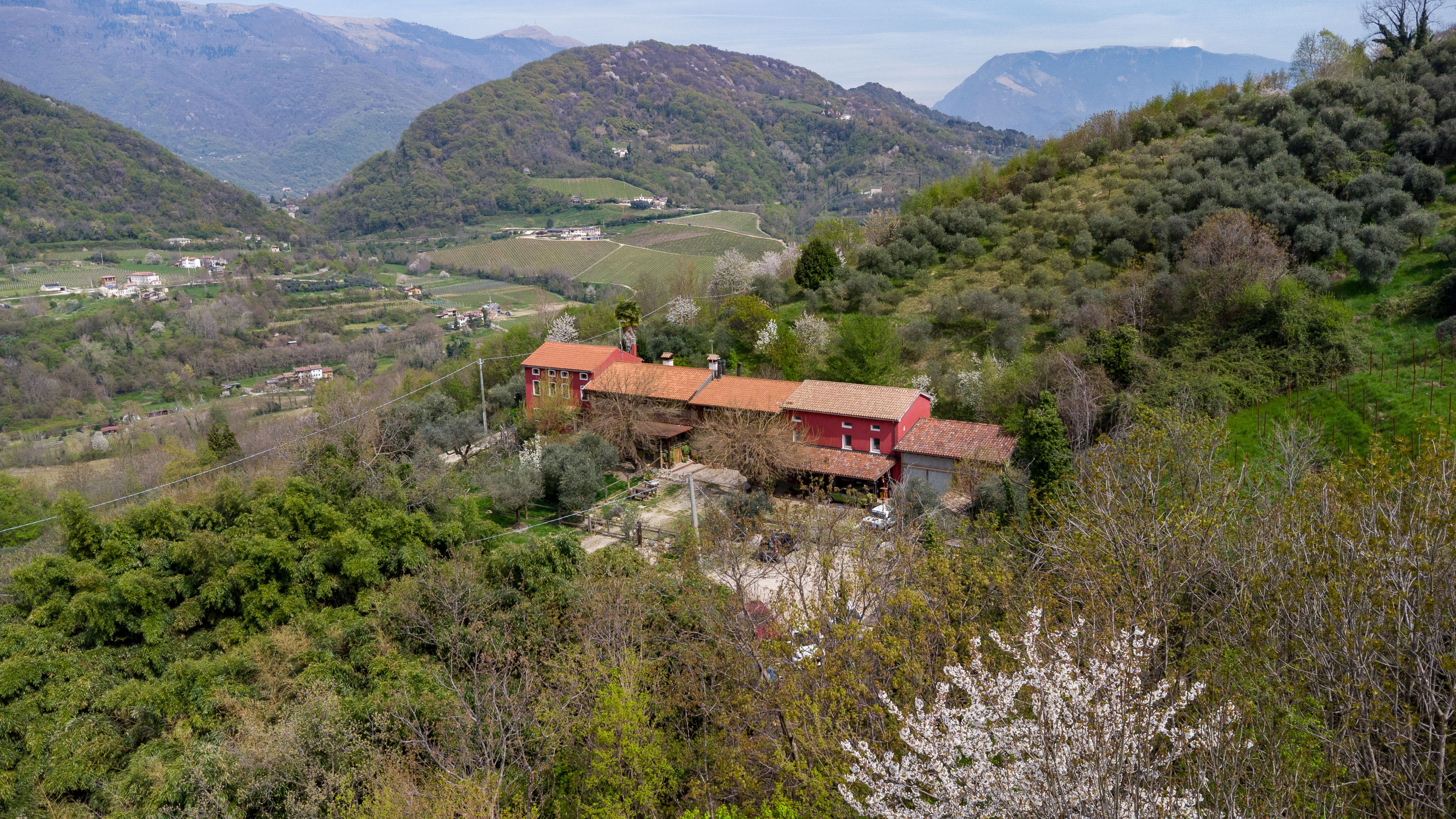 Residenza e Opportunità Ricettiva tra Uliveti e tradizione