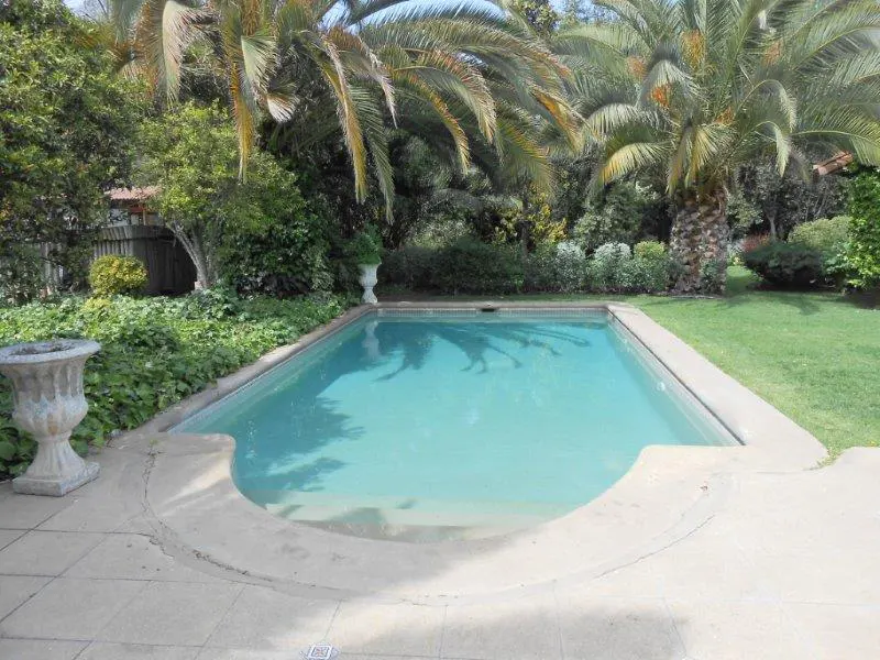 Outdoor pool with turquoise water, surrounded by palm trees, green grass, and lush foliage. Concrete patio and decorative urns add to the backyard oasis.