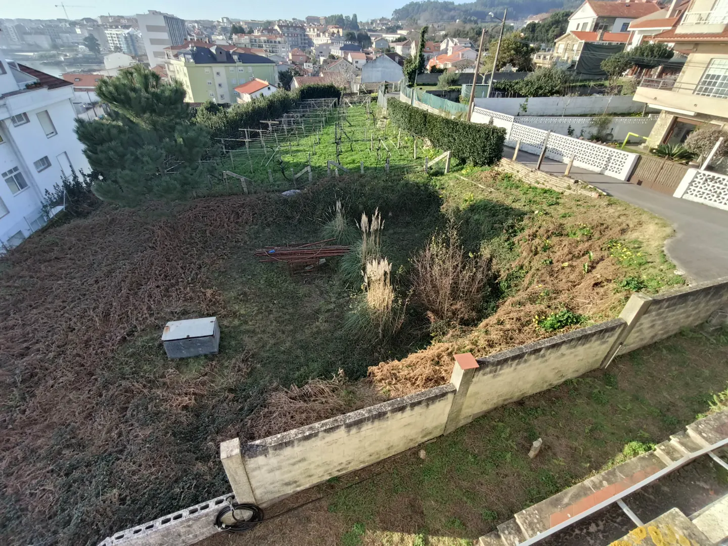 View of a large, overgrown lot with a vineyard in the background, surrounded by a stone wall and city buildings.